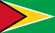 drapeau Guyana